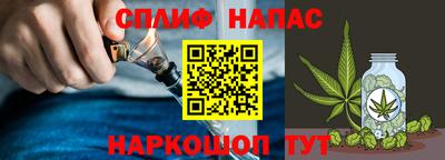 хмурый Моздок