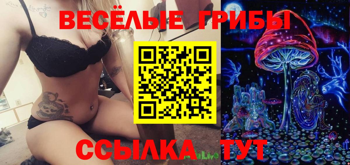 Галлюциногенные грибы Magic Shrooms Алапаевск