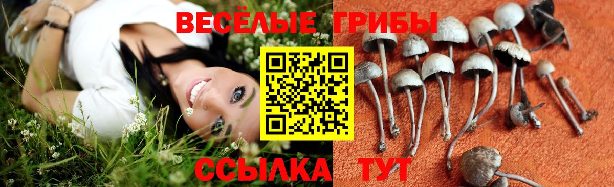 Алапаевск  Псилоцибиновые грибы MAGIC MUSHROOMS  Псилоцибиновые грибы Cubensis  Вход с VPN 